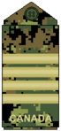 CADPAT uniform (old insignia)