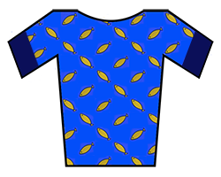 File:Jersey blue-fish.svg