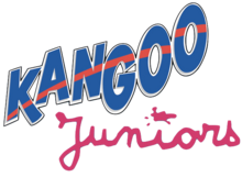 Description de l'image Kangoo Juniors.png.