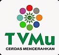 Logo tvMu (2013-2014)