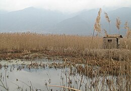 Бара во Моноспитовско Блато