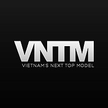 VNTMlogo.jpeg