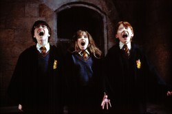 HARRY POTTER AND THE SORCERER'S STONE, Daniel Radcliffe, Emma Watson, Rupert Grint, 2001