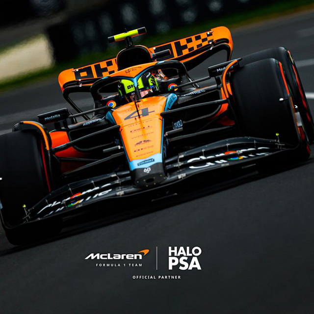 HaloPSA - McLaren