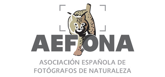 AEFONA