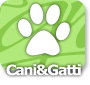 Cani e gatti