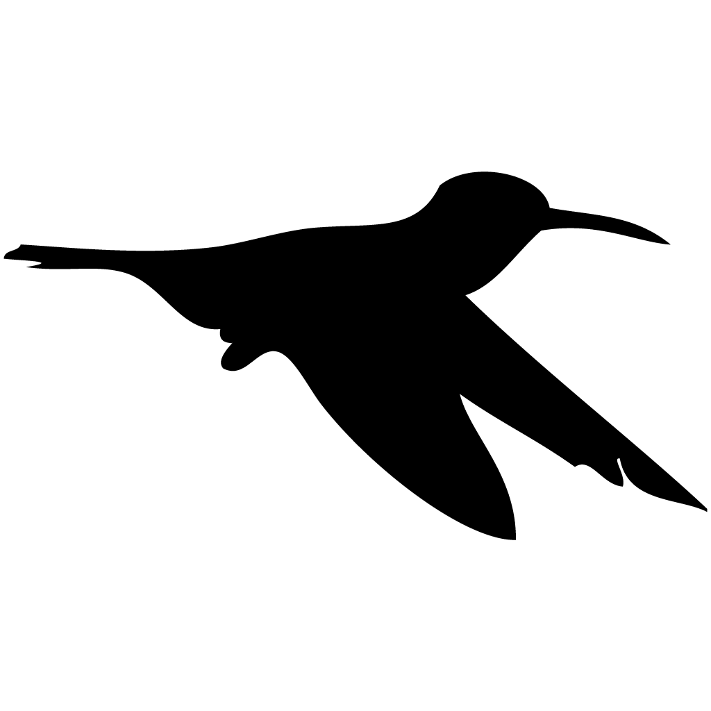 Hummingbirds Silhouette