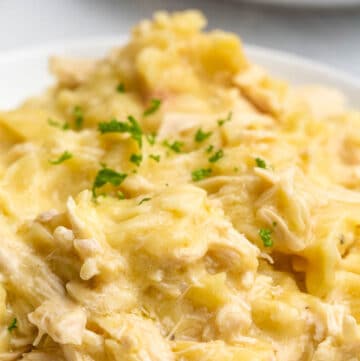 noodles with chicken on a white plate