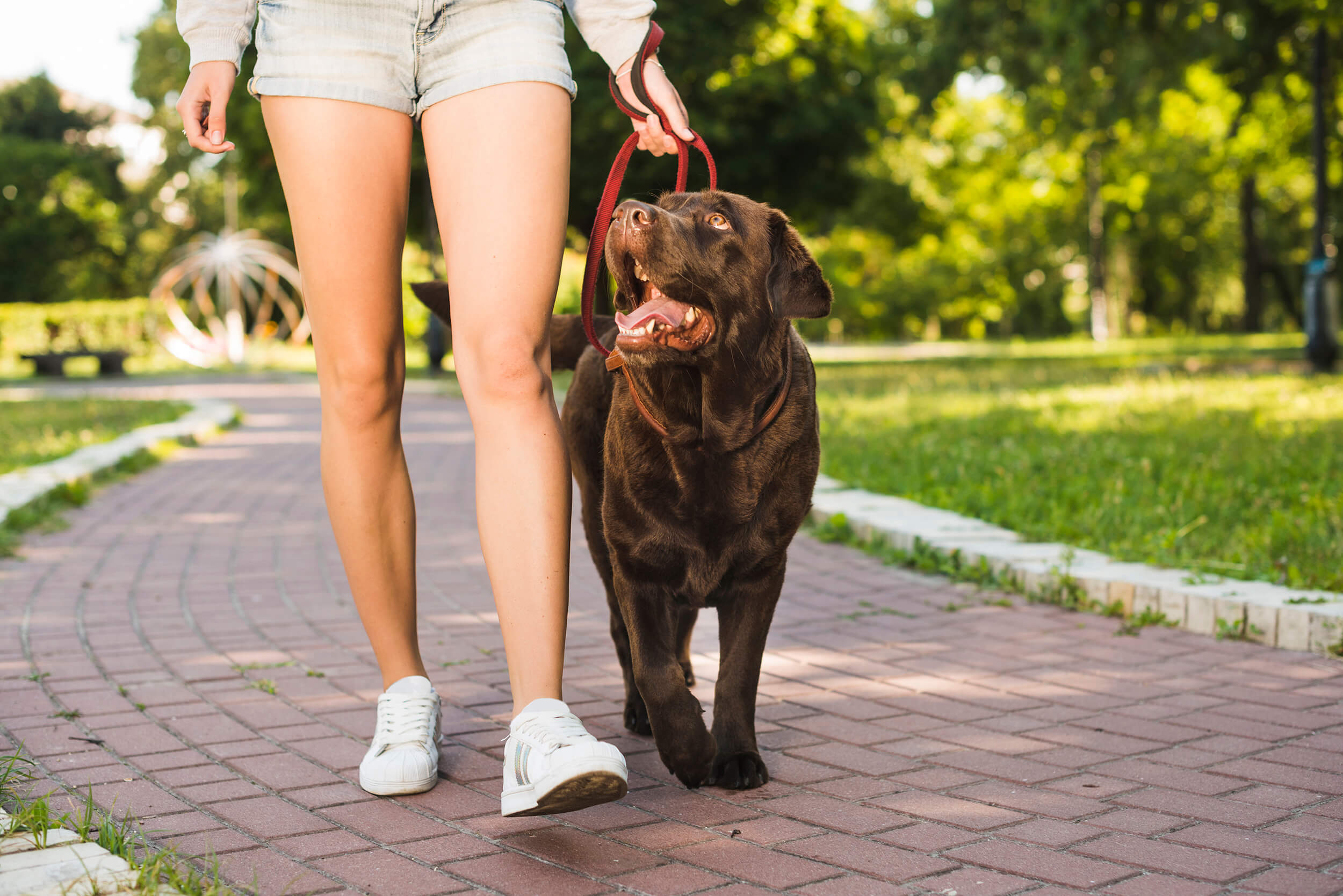 Dicas de Passeios em SP