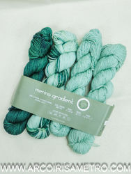 Kit merino gradient MINI MEADAS - 807