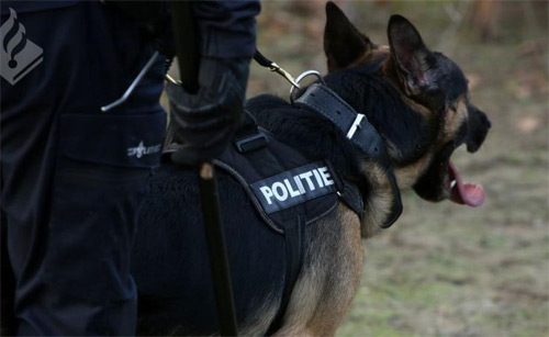 Police Dog