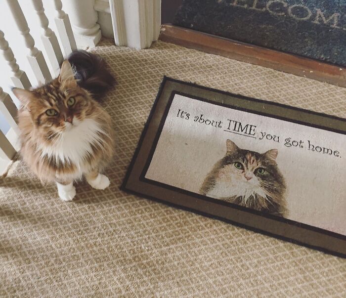 My Cat Looks Exactly Like The One On This Doormat My Grandfather Bought For Me