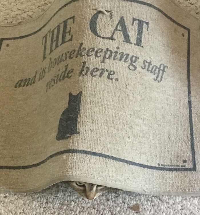 Doormat Kitty