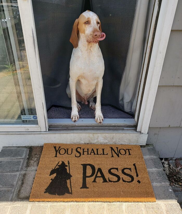 Got A New Doormat For My Dog