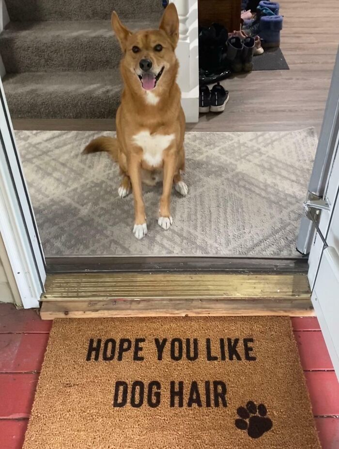 Our Adopted Boi Is Half Husky. Got A Custom Doormat Made Just For Him