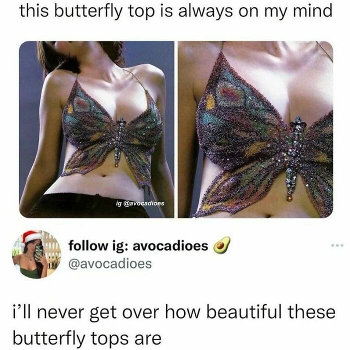 Glittery butterfly top featured in relatable memes.