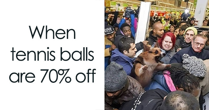 30 Of The Funniest Black Friday Memes To Check Out After You’re Done With Your Shopping Spree