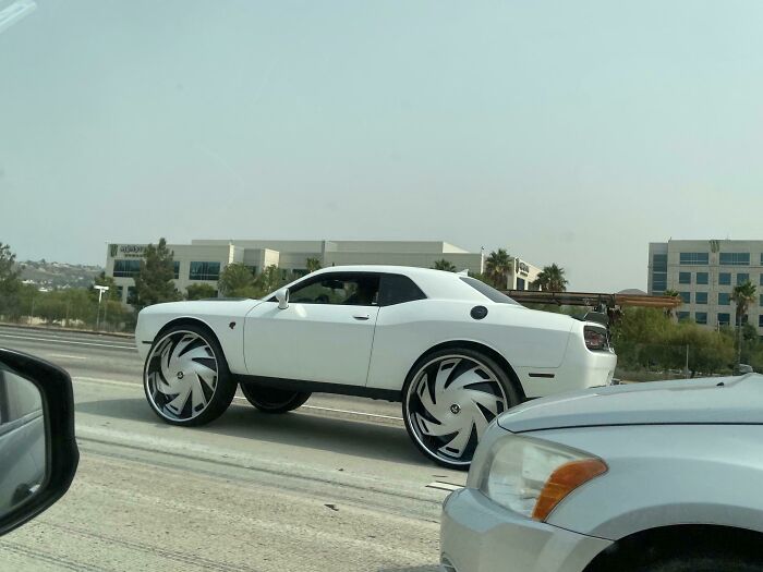 Unique car with massive wheels spotted on the road.