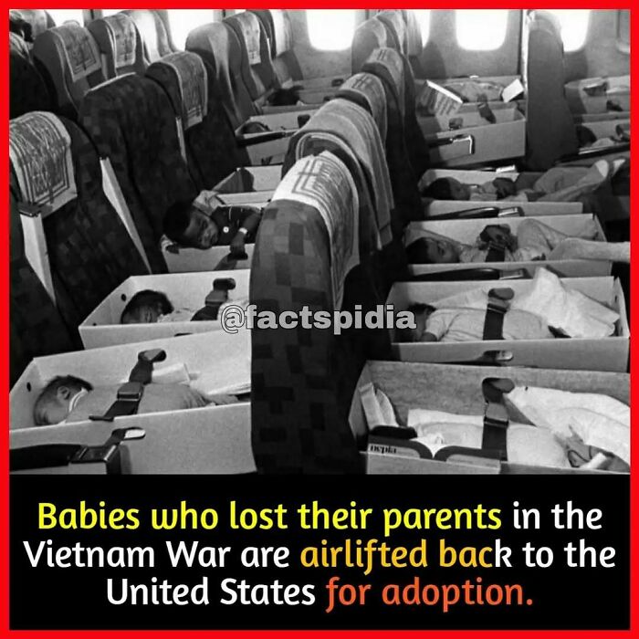 Babies on an airplane in makeshift beds, part of Operation Babylift during the Vietnam War.