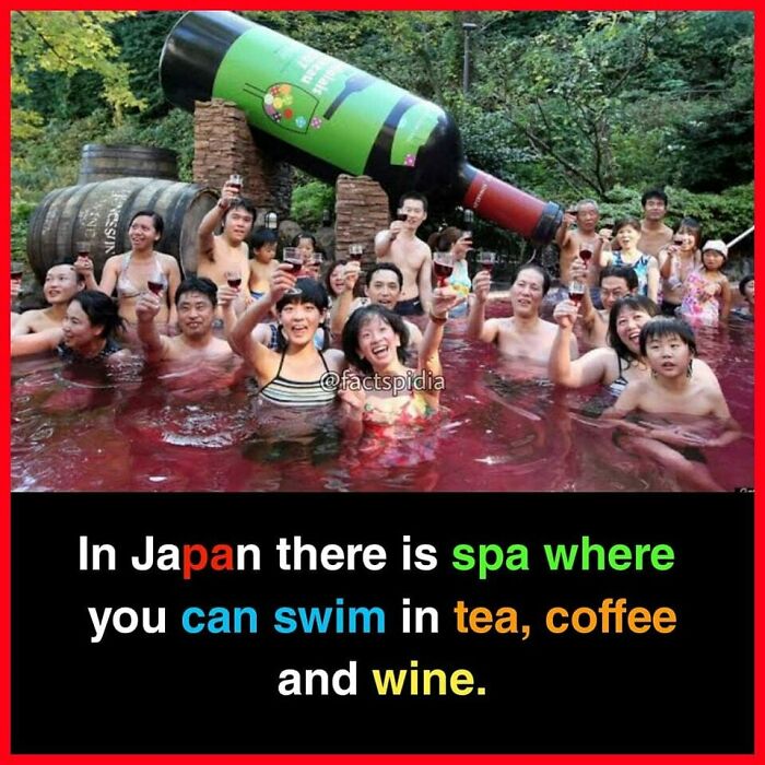 People enjoying a wine-filled spa in Japan, highlighting surprising and interesting facts about unique spa experiences.