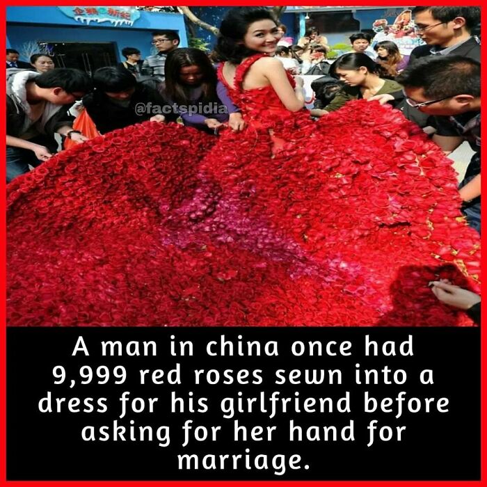 Woman wearing a dress made of 9,999 red roses, surrounded by people in China.