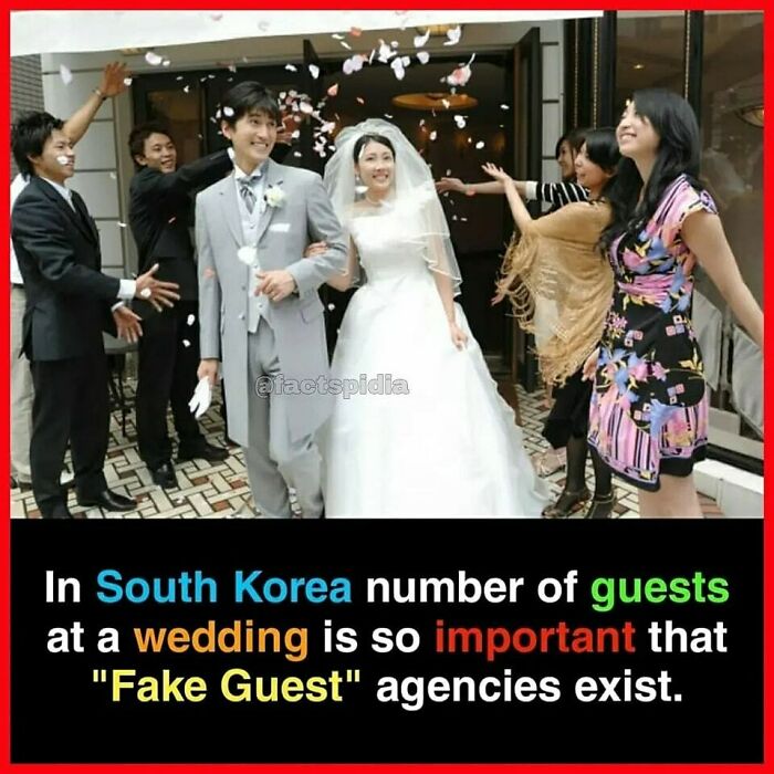 Bride and groom in South Korea with wedding guests, highlighting surprising fact about "fake guest" agencies.