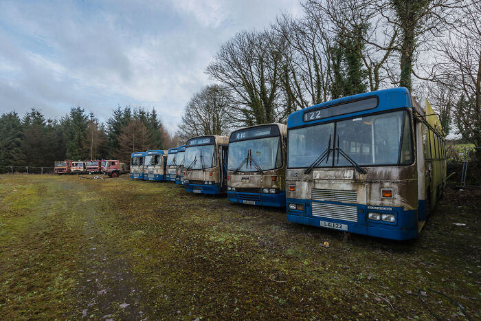 Irish ghost bus graveyard with a row of abandoned buses in a wooded area.