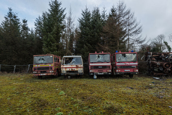 Abandoned Irish Ghost Bus Graveyard with four old buses lined up in a grassy area surrounded by trees.