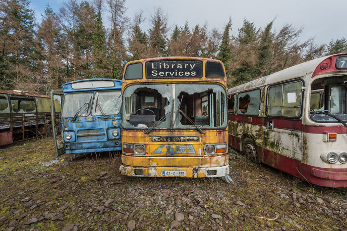 Irish ghost bus graveyard with vintage, weathered buses, broken windows, and faded paint in a forested setting.