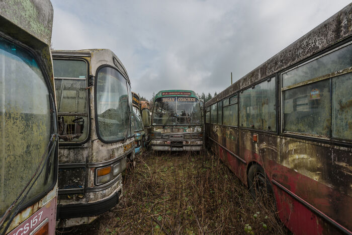 Abandoned Irish ghost buses overgrown with weeds in a graveyard setting under a cloudy sky.