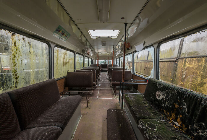 Interior of an abandoned bus at an Irish ghost bus graveyard, with moss-covered seats and dirty windows.