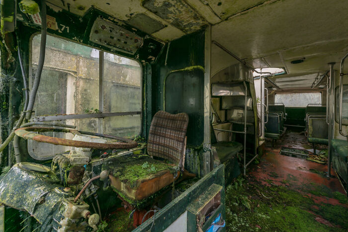 Abandoned Irish ghost bus interior, moss covering seats and steering wheel, with peeling paint and broken windows.