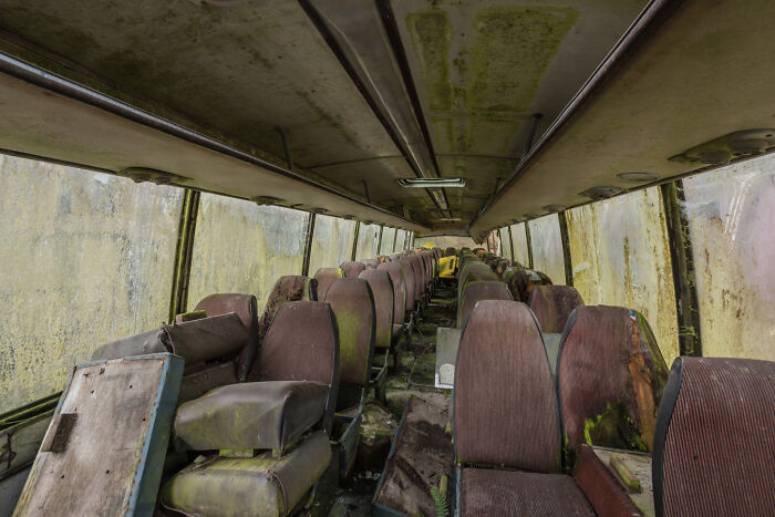 Interior of an abandoned Irish ghost bus with old, moss-covered seats.