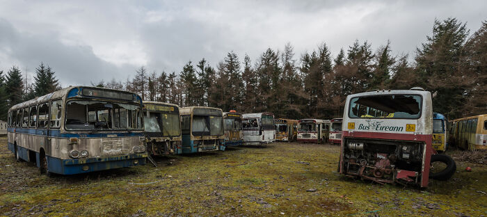 Abandoned Irish buses in a graveyard surrounded by trees under a cloudy sky.