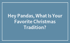 Hey Pandas, What Is Your Favorite Christmas Tradition?