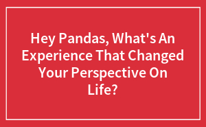 Hey Pandas, What's An Experience That Changed Your Perspective On Life? (Closed)