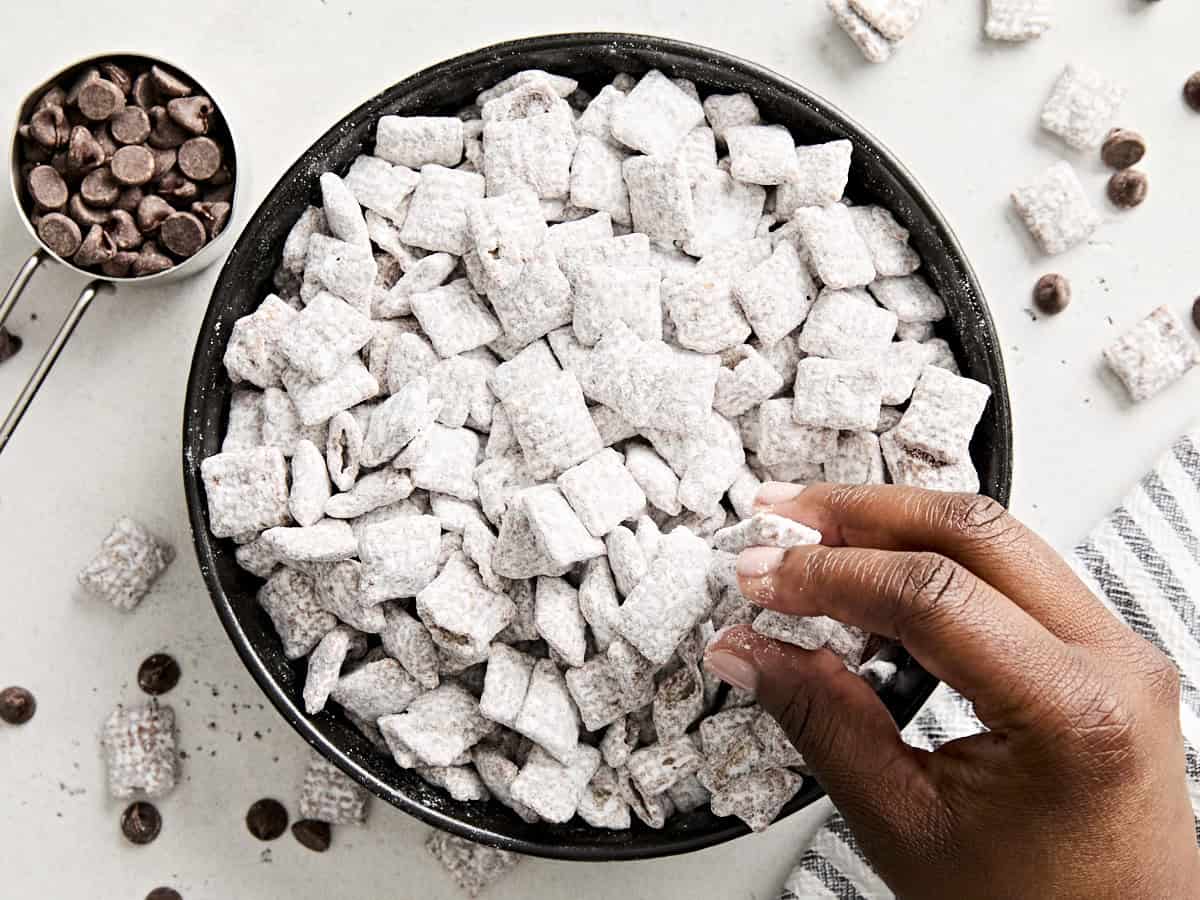 A hand taking some puppy chow from a bowl.