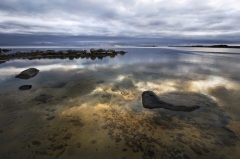 Всемирный день водно-болотных угодий