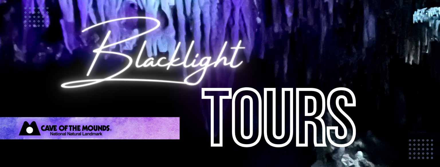 Blacklight Tours