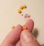 Blending artist chalk for DIY dollhouse miniatures peaches