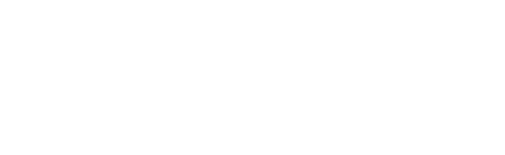 Z Delivery