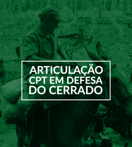 Articulação das CPT´s do Cerrado 