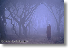 africa, fog, horizontal, maasai, tanzania, photograph