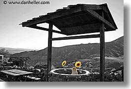 calico, california, horizontal, sunflowers, wells, west coast, western usa, photograph