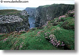 england, europe, handa, horizontal, scotland, united kingdom, photograph