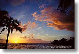 america, hawaii, horizontal, north america, palms, sunsets, united states, photograph