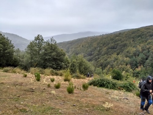 24 marcha hoyos de Iregua