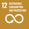 SDG12