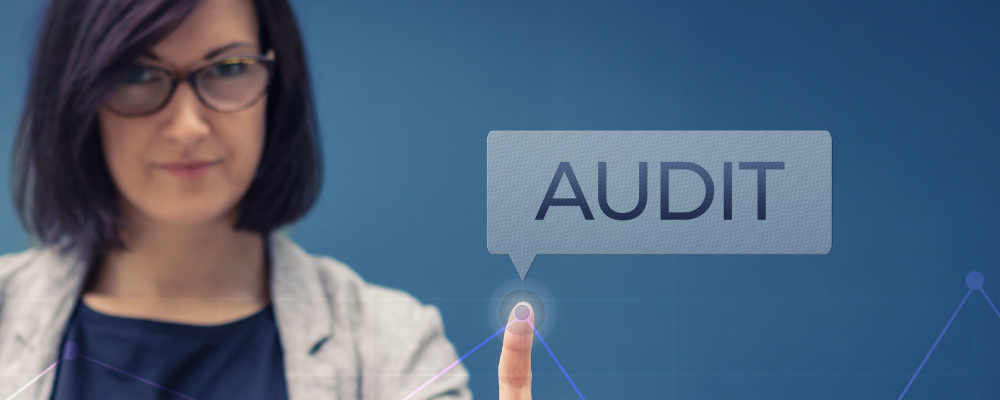 Auditors