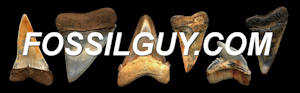 fossilguy logo